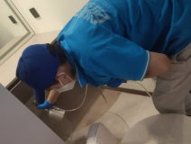 地毯也會引起甲醛超標嗎？